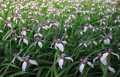 《战地6》全面揭晓在即 国外玩家已收到宣传材料